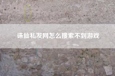 诛仙私发网怎么搜索不到游戏