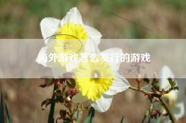 海外游戏怎么发行的游戏