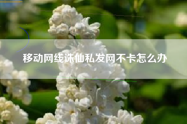 移动网线诛仙私发网不卡怎么办
