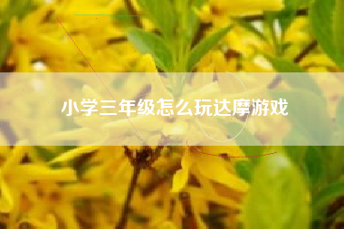 小学三年级怎么玩达摩游戏