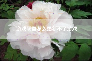 游戏联盟怎么更新不了游戏