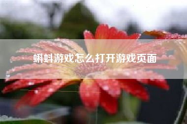 蝌蚪游戏怎么打开游戏页面