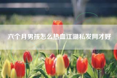 六个月男孩怎么热血江湖私发网才好