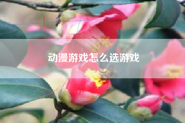动漫游戏怎么选游戏