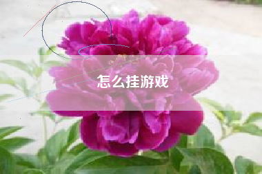 怎么挂游戏