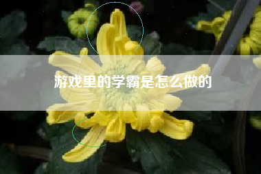 游戏里的学霸是怎么做的