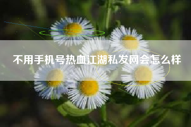 不用手机号热血江湖私发网会怎么样