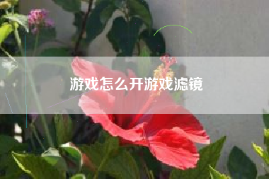 游戏怎么开游戏滤镜