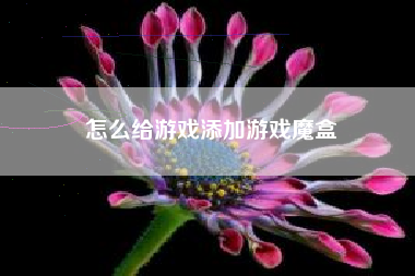 怎么给游戏添加游戏魔盒