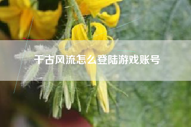 千古风流怎么登陆游戏账号