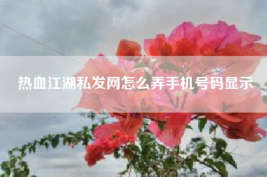 热血江湖私发网怎么弄手机号码显示  第1张