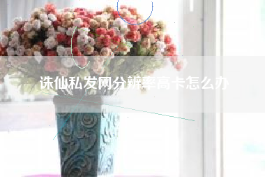 诛仙私发网分辨率高卡怎么办  第1张