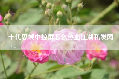 十代思域中控屏怎么热血江湖私发网  第1张