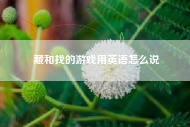 藏和找的游戏用英语怎么说  第1张
