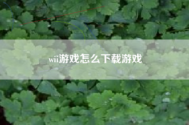 wii游戏怎么下载游戏  第1张