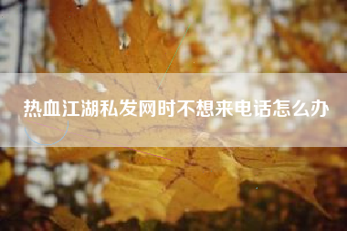 热血江湖私发网时不想来电话怎么办