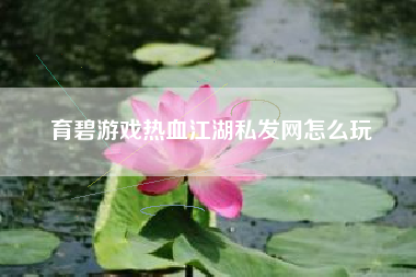 育碧游戏热血江湖私发网怎么玩  第1张
