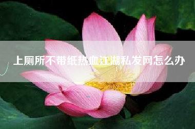 上厕所不带纸热血江湖私发网怎么办  第1张