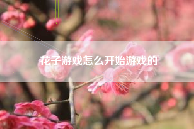 花子游戏怎么开始游戏的