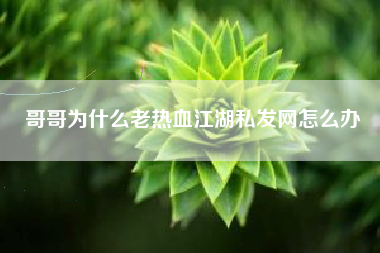 哥哥为什么老热血江湖私发网怎么办