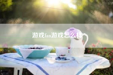 游戏fan游戏怎么样