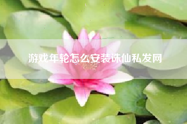 游戏年轮怎么安装诛仙私发网  第1张