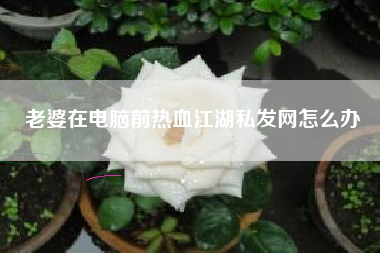 老婆在电脑前热血江湖私发网怎么办  第1张
