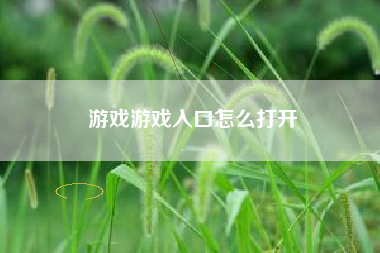 游戏游戏入口怎么打开  第1张