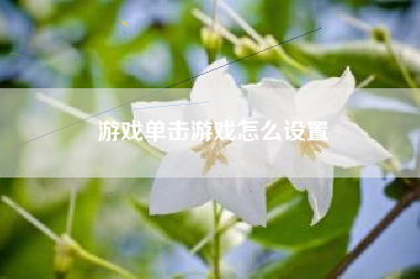 游戏单击游戏怎么设置  第1张