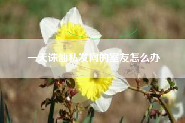 一天诛仙私发网的室友怎么办