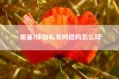 黑鲨4诛仙私发网稳吗怎么样  第1张