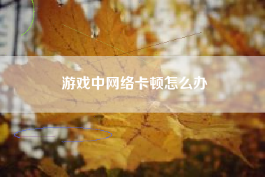 游戏中网络卡顿怎么办