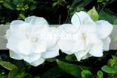 游戏怎么选题