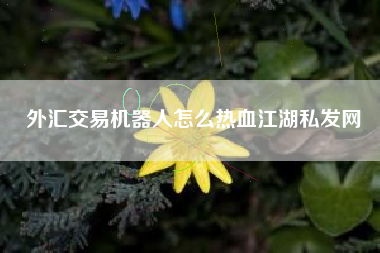 外汇交易机器人怎么热血江湖私发网