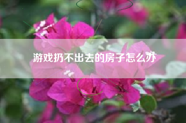 游戏扔不出去的房子怎么办