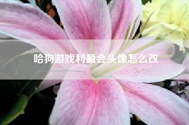 哈狗游戏利盈会头像怎么改