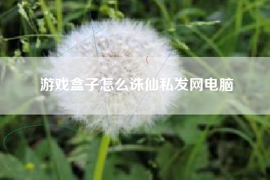 游戏盒子怎么诛仙私发网电脑