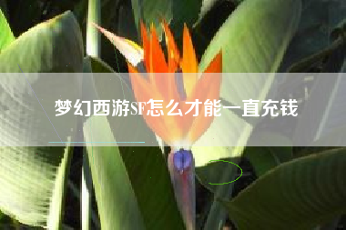 梦幻西游SF怎么才能一直充钱