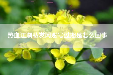 热血江湖私发网账号过期是怎么回事