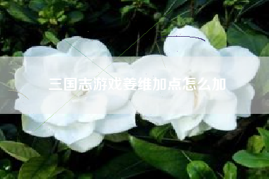 三国志游戏姜维加点怎么加