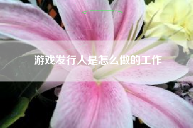 游戏发行人是怎么做的工作