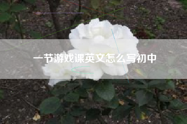 一节游戏课英文怎么写初中