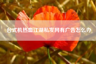 台式机热血江湖私发网有广告怎么办