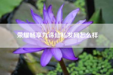 荣耀畅享九诛仙私发网怎么样