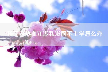 孩子老热血江湖私发网不上学怎么办