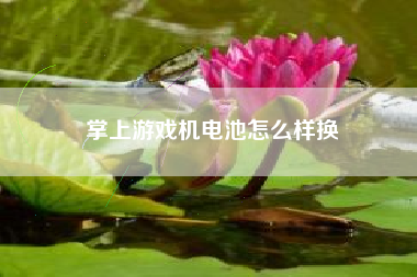 掌上游戏机电池怎么样换