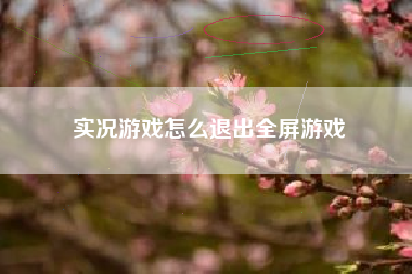 实况游戏怎么退出全屏游戏
