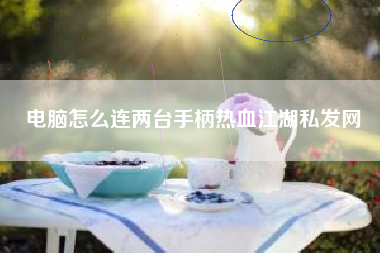 电脑怎么连两台手柄热血江湖私发网