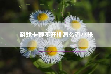 游戏卡顿不开机怎么办小米