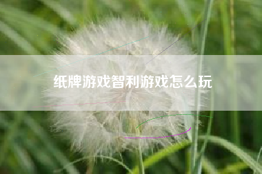 纸牌游戏智利游戏怎么玩